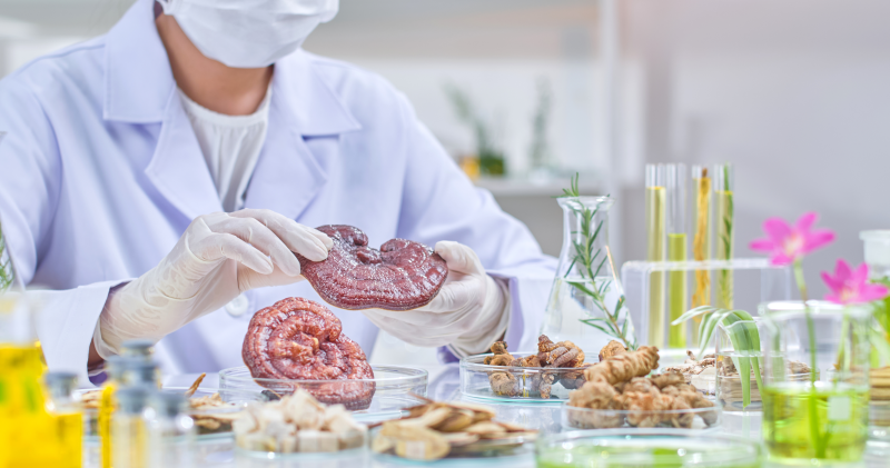 Reishi, Tamoxifen și BRCA: Mituri vs. fapte științifice