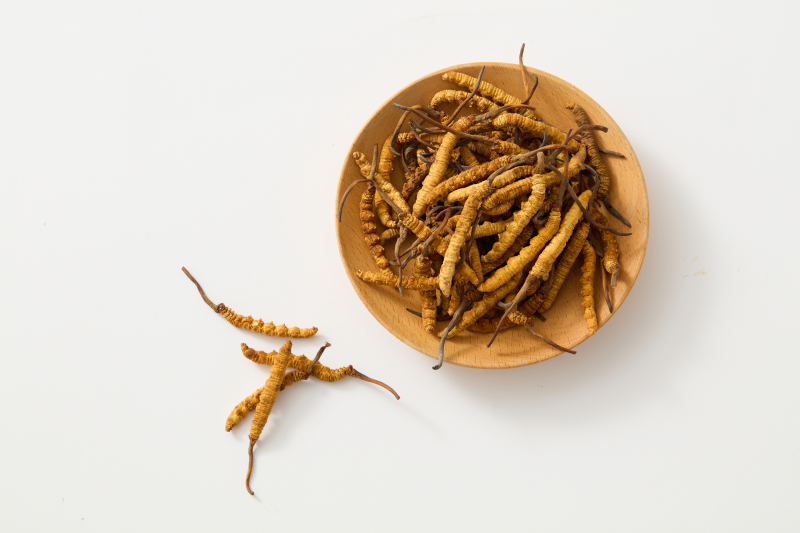Cordyceps - reîncarcă energia pierdută